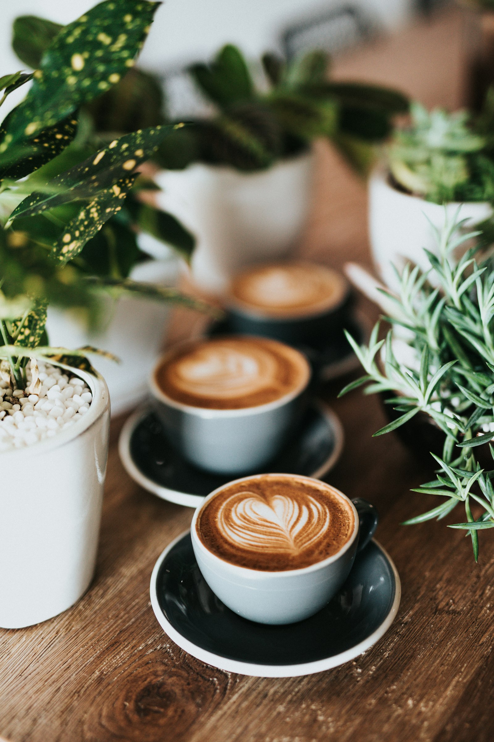 Professional espresso machine in a coffee bar